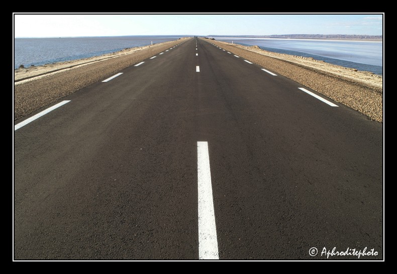 170 La longue route rectiligne qui traverse le lac du Chott El Jerid